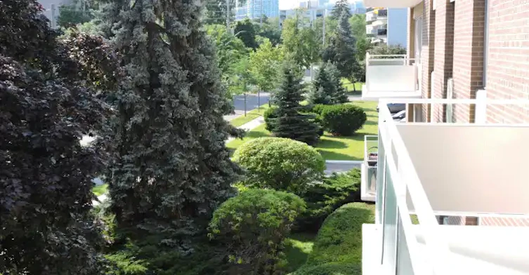 3089 Jaguar Valley Drive, Mississauga, ON, L5A 2J1 - 12