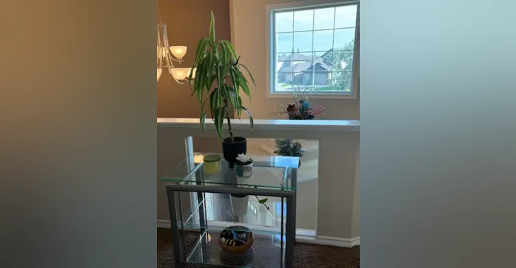 1 Norelle Terrace, St. Albert, AB, T8N 3V1 - 15