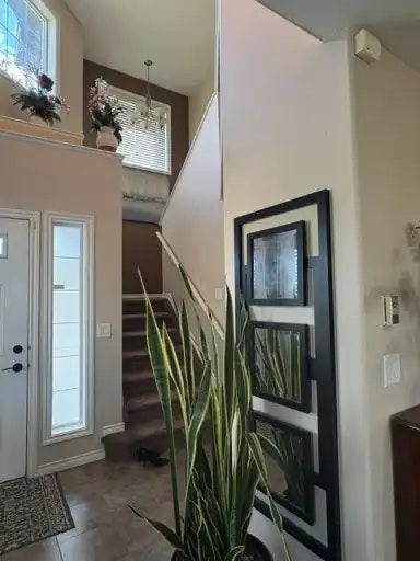 1 Norelle Terrace, St. Albert, AB, T8N 3V1 - 2