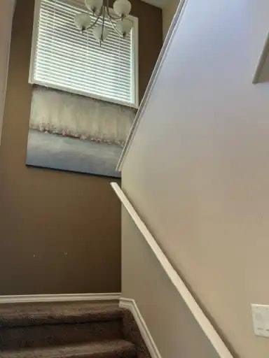 1 Norelle Terrace, St. Albert, AB, T8N 3V1 - 14