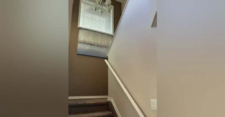 1 Norelle Terrace, St. Albert, AB, T8N 3V1 - 14