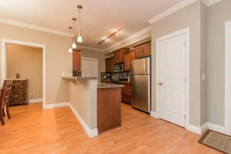 12258 224 Street, Maple Ridge, BC, V2X 8W5 - 8