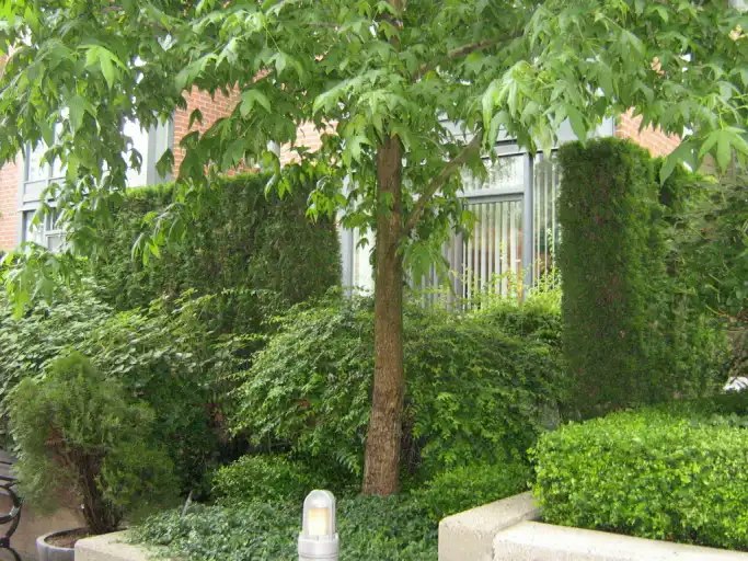 1427 West 6th Avenue, Vancouver, BC, V6H 4E9 - 14