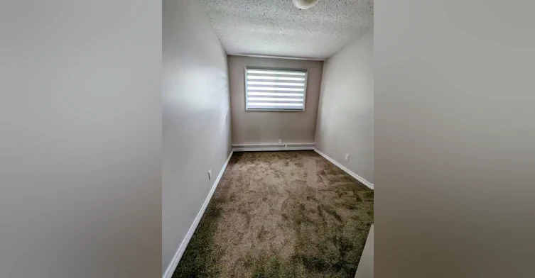 5812 57 Avenue, Red Deer, AB, T4N 4S4 - 8