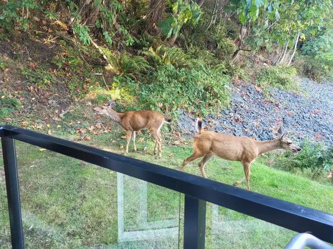 872 South Island Highway, Campbell River, BC, V9W 0G8 - 5