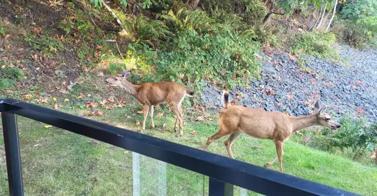 872 South Island Highway, Campbell River, BC, V9W 0G8 - 5