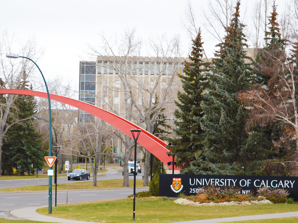 2905 Unwin Road NW, Calgary, AB, T2N 4M5 - 11