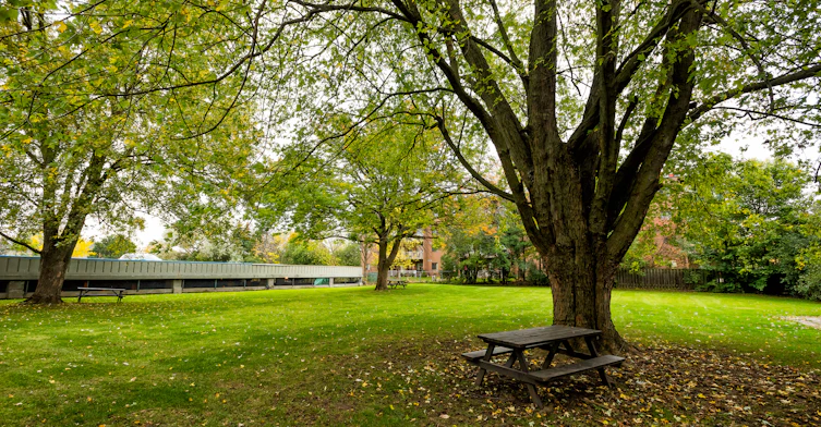 112 Baseline Road W, London, ON, N6J 1V4 - 15