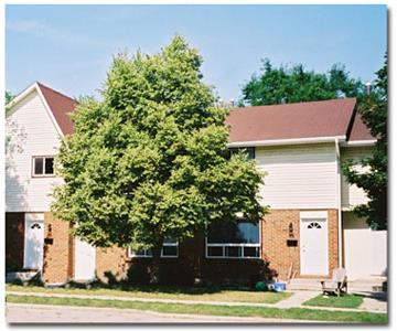 1511 Aldersbrook Road, London, ON, N6G 3A4 - 5