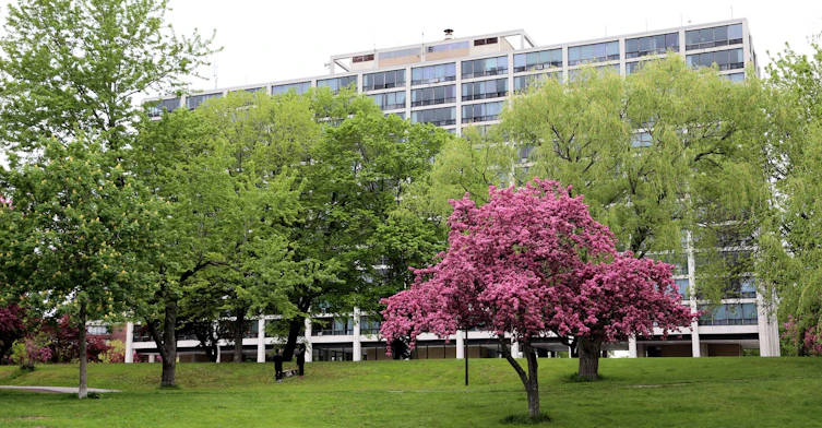 201 Corot Rue, Montréal, QC, H3E 1C4 - 8