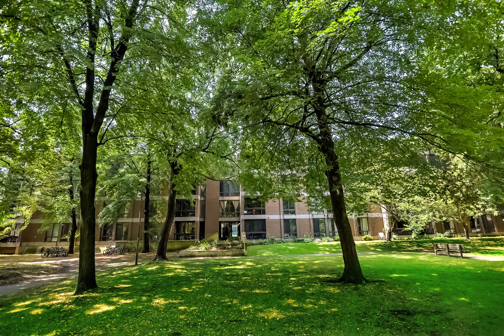 220 Berlioz Rue, Montréal, QC, H3E 1B8 - 7