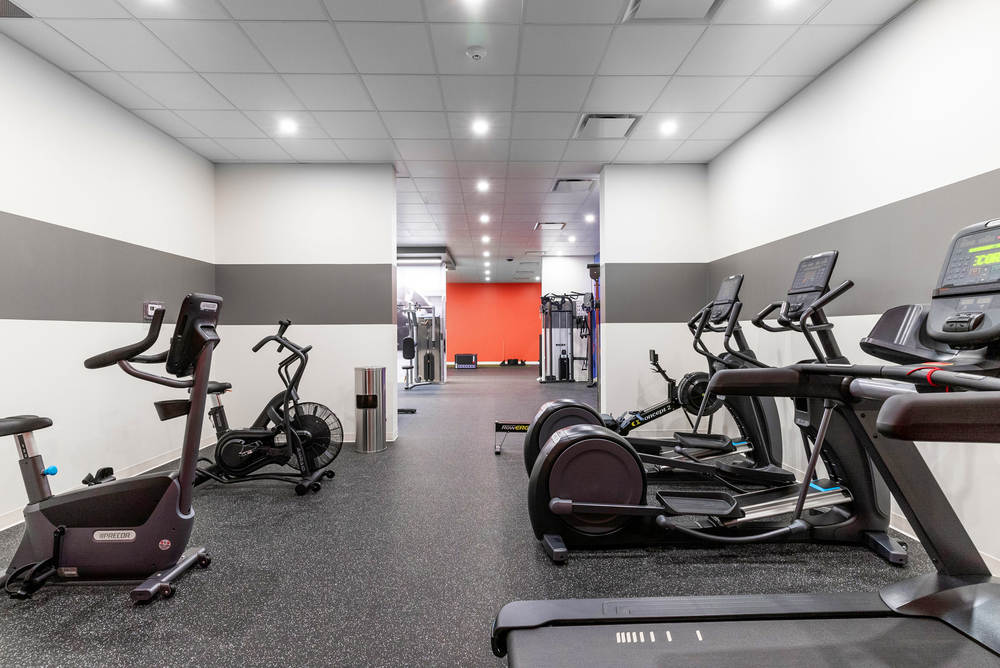 17311 69 Avenue NW, Edmonton, AB, T5T 3S3 - 25
