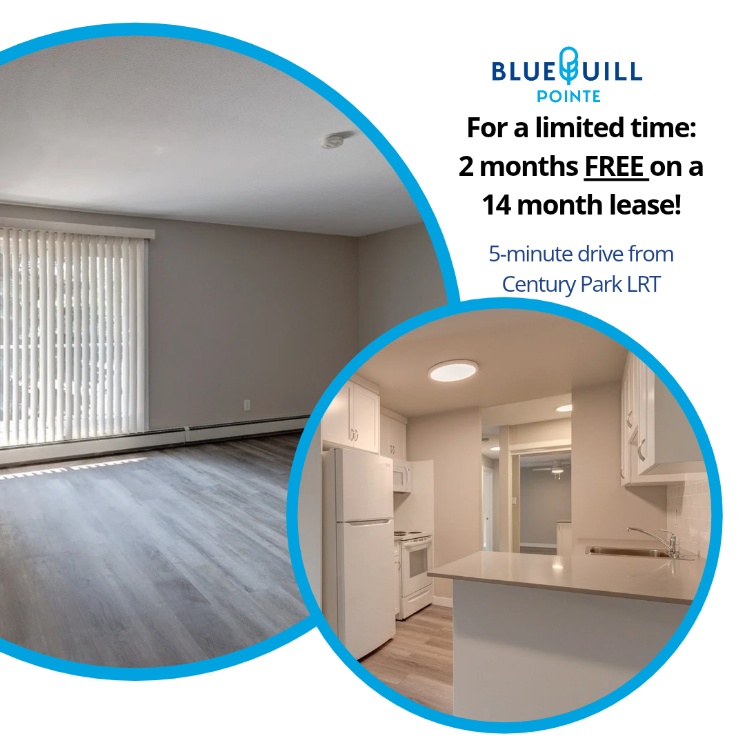210B-11615 28 Avenue NW, Edmonton, AB, T6J 3Z8