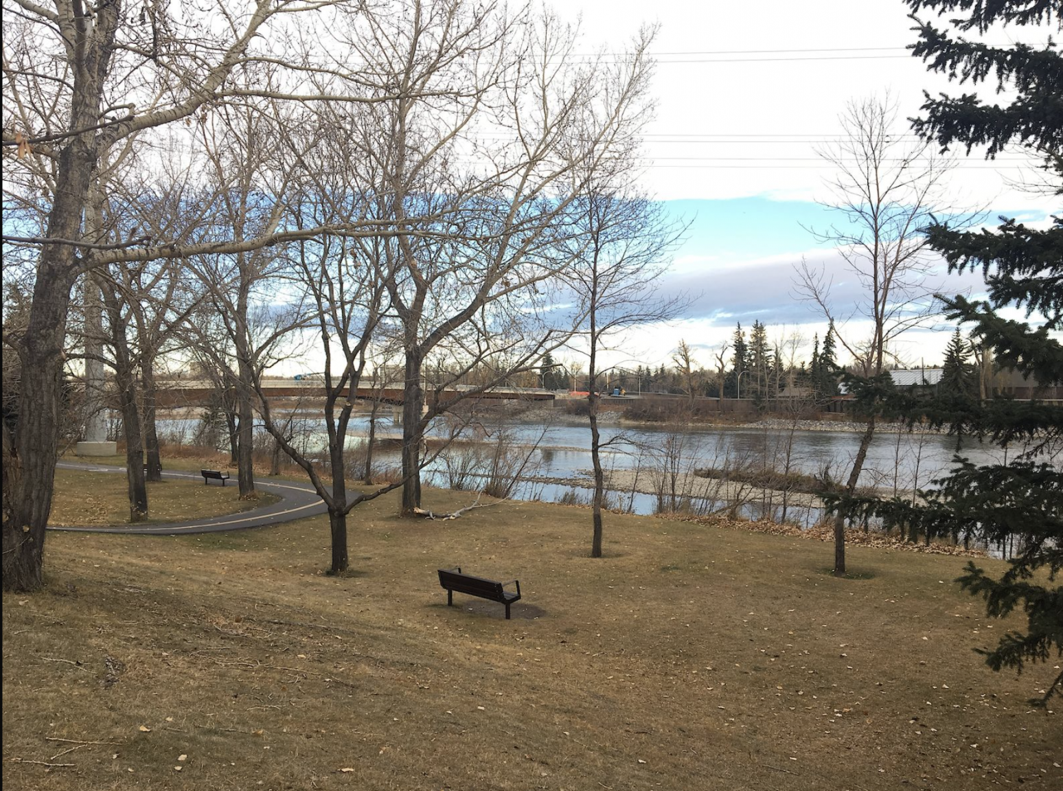 0217-1410 9 Avenue SE, Calgary, AB, T2G 0T5 - 26