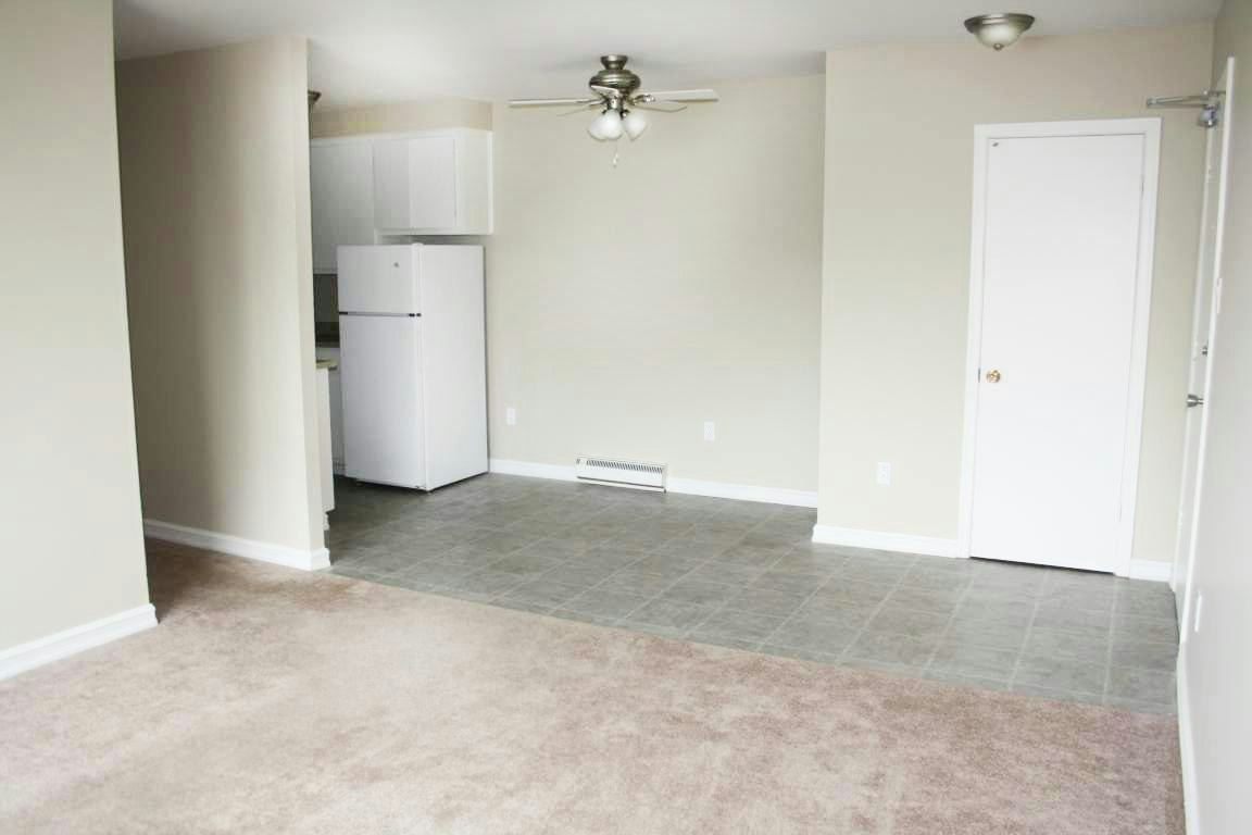 137 Ennis Avenue, St Johns, NL, A1A 2K3 - 3