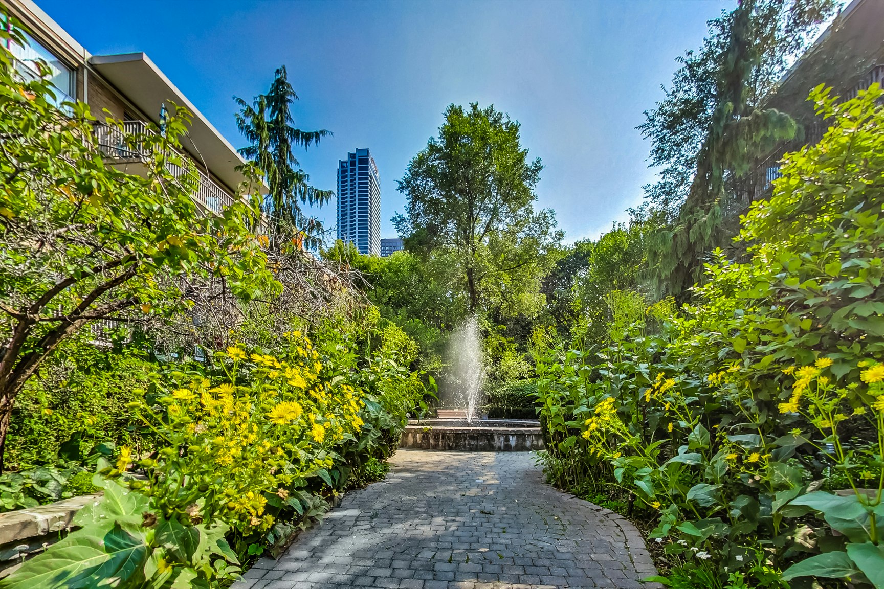0119-11 Elm Avenue, Toronto, ON, M4W 1N1 - 8