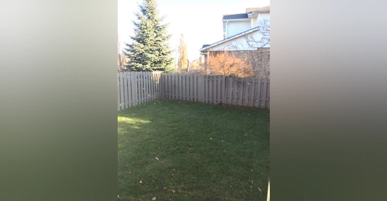 74 Rodgers Road, Guelph, ON, N1G 4Z5 - 11