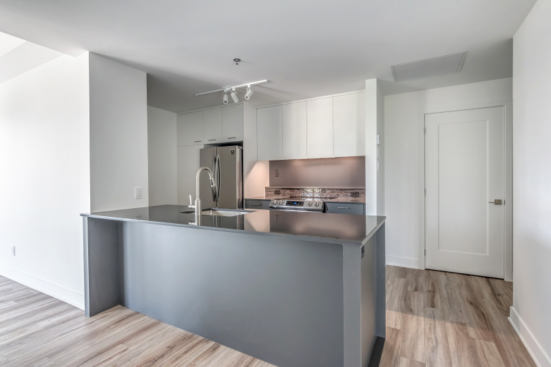808-1999 William Rue, Montréal, QC, H3J 1R9 - 12