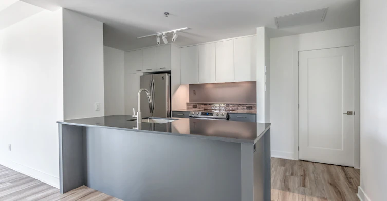 808-1999 William Rue, Montréal, QC, H3J 1R9 - 12