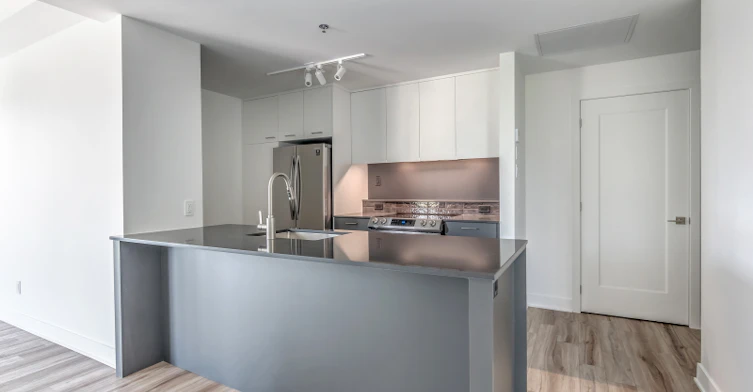 1999 William Rue, Montréal, QC, H3J 1R9 - 12