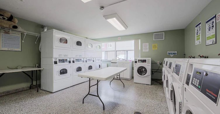 131 Minerva Avenue, Toronto, ON, M1M 1V9 - 14