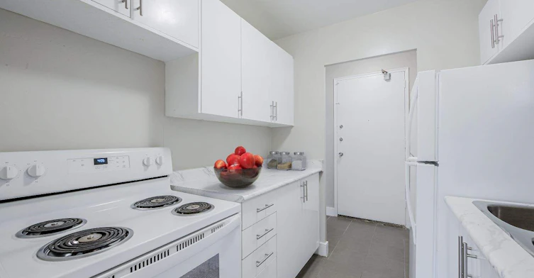 131 Minerva Avenue, Toronto, ON, M1M 1V9 - 11