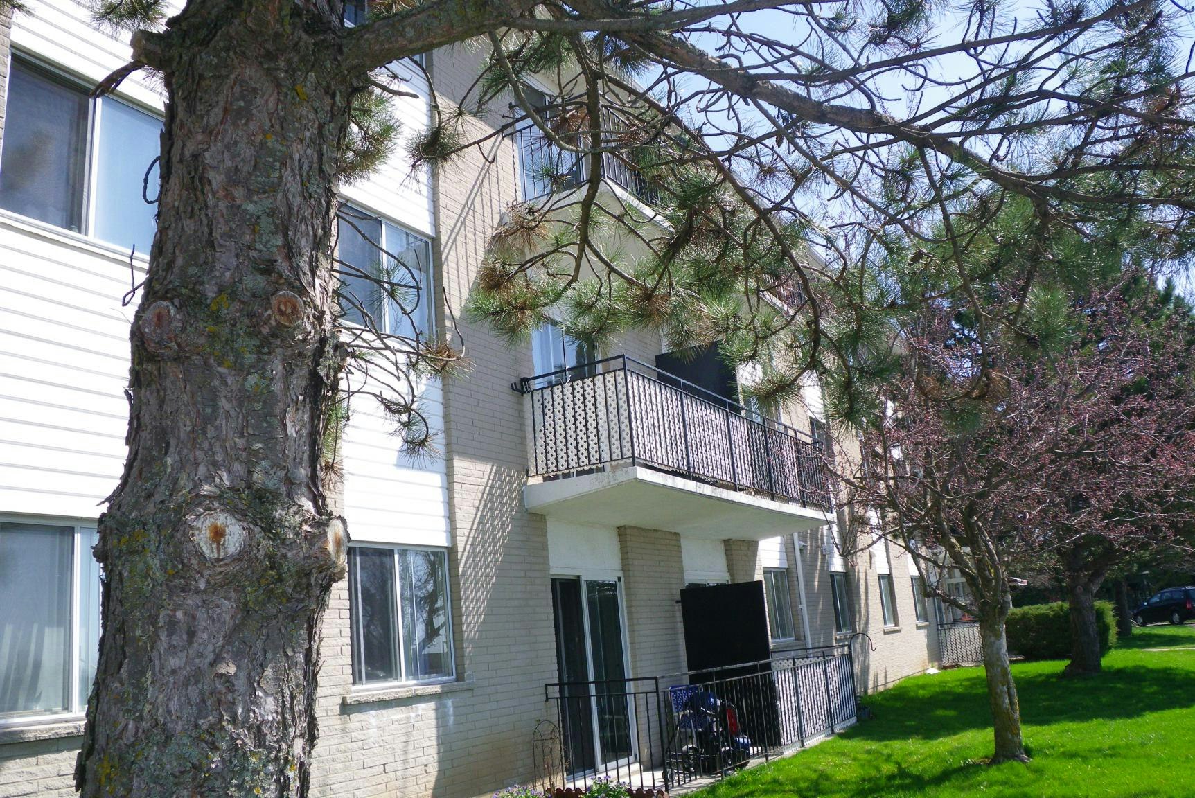315 Willow Street, Stratford, ON, N5A 3B8 - 8