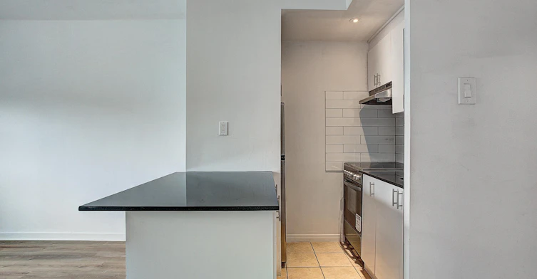 3445 Hutchison, Montréal, QC, H2X 2G2 - 56