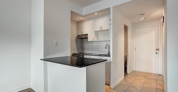 3445 Hutchison, Montréal, QC, H2X 2G2 - 58