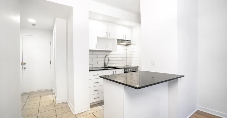 3445 Hutchison, Montréal, QC, H2X 2G2 - 85
