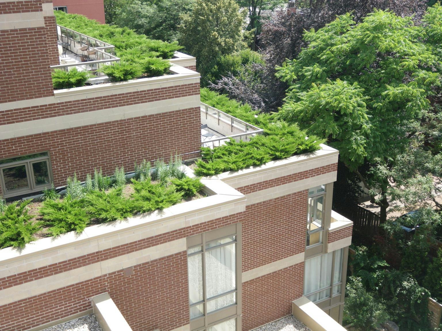 88 Spadina Road, Toronto, ON, M5R 2S8 - 15