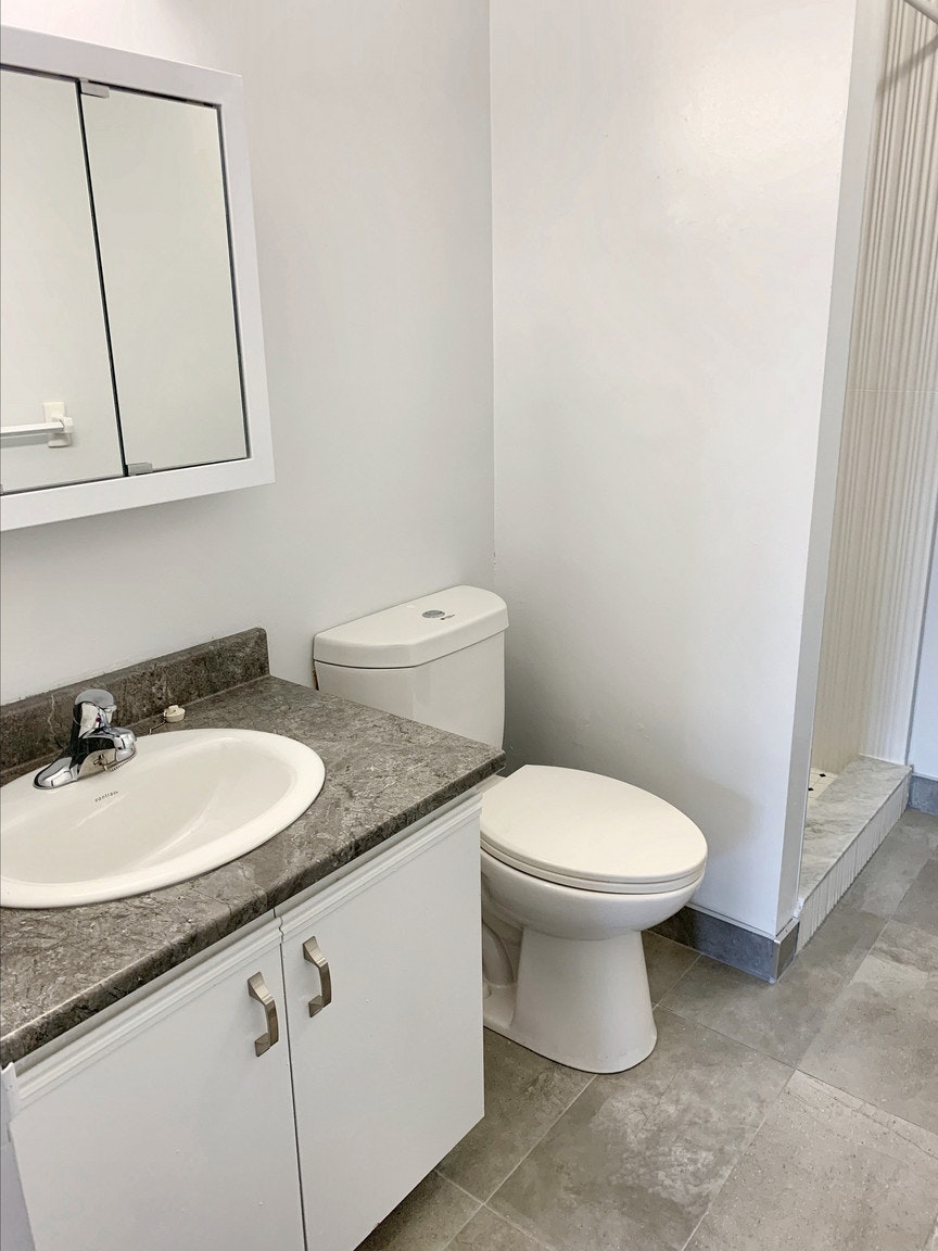 315 Margaret Avenue, Kitchener, ON, N2H 6S5 - 9