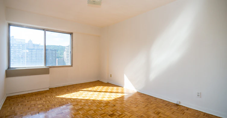 1411 Du Fort Rue, Montréal, QC, H3G 2S2 - 31
