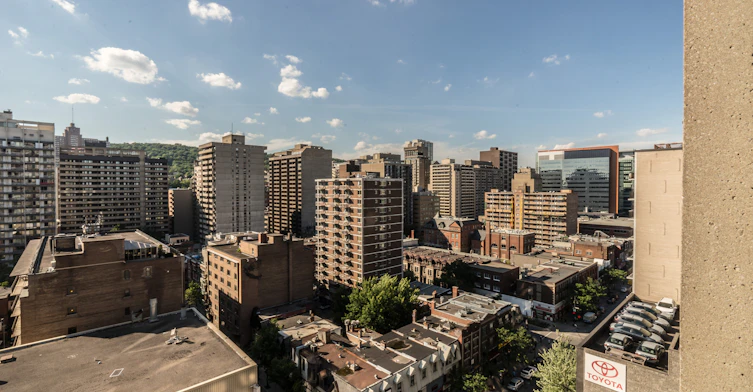 1411 Du Fort Rue, Montréal, QC, H3G 2S2 - 16