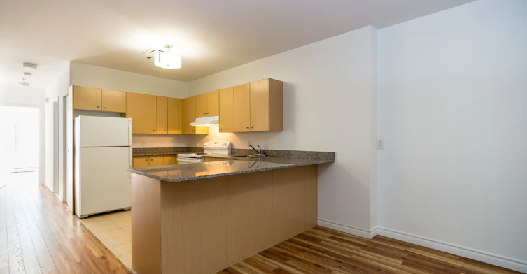 1411 Du Fort Rue, Montréal, QC, H3G 2S2 - 28