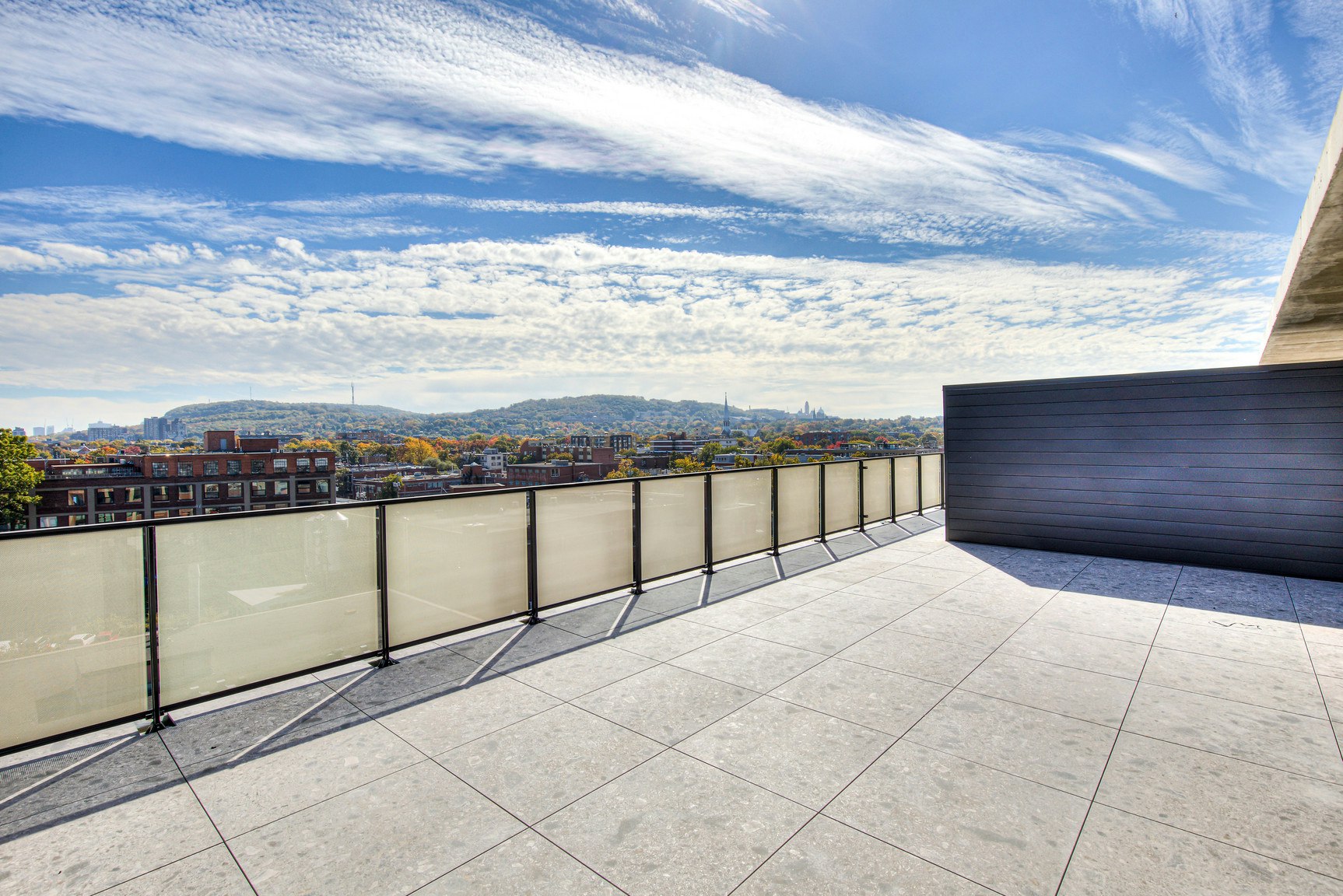 439 Thérèse Lavoie Roux Avenue, Montréal, QC, H2V 0B1 - 35