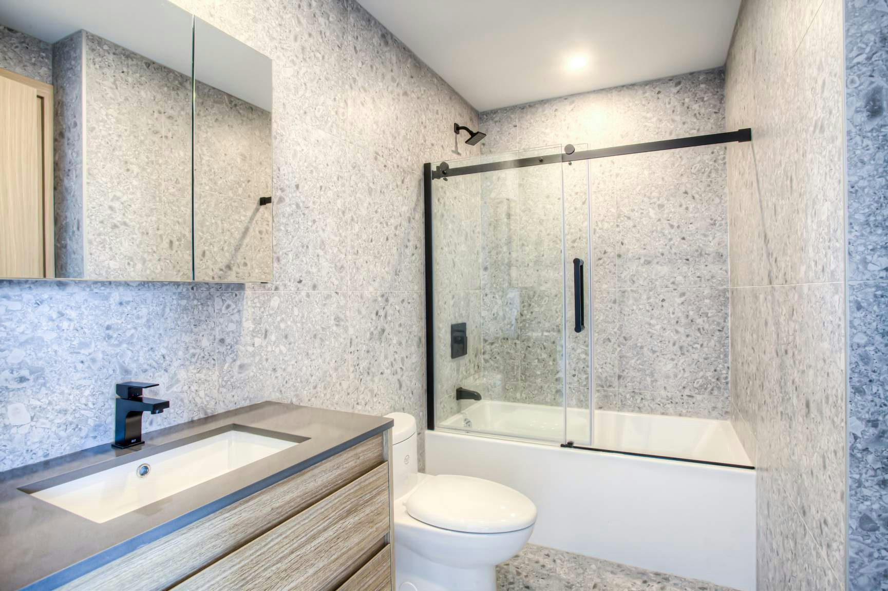 427-439 Thérèse Lavoie Roux Avenue, Montréal, QC, H2V 0B1 - 13