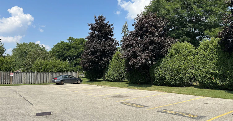 295 Home Street, Stratford, ON, N5A 2A5 - 14
