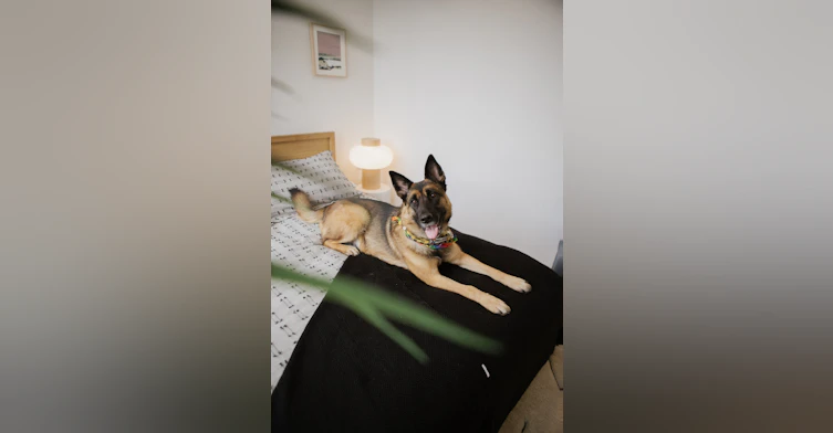 3006-200 Redpath Avenue, Toronto, ON, M4P 0E6 - 58