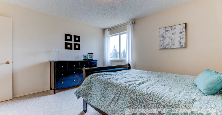 6205 178 Street, Edmonton, AB, T5T 2R5 - 33