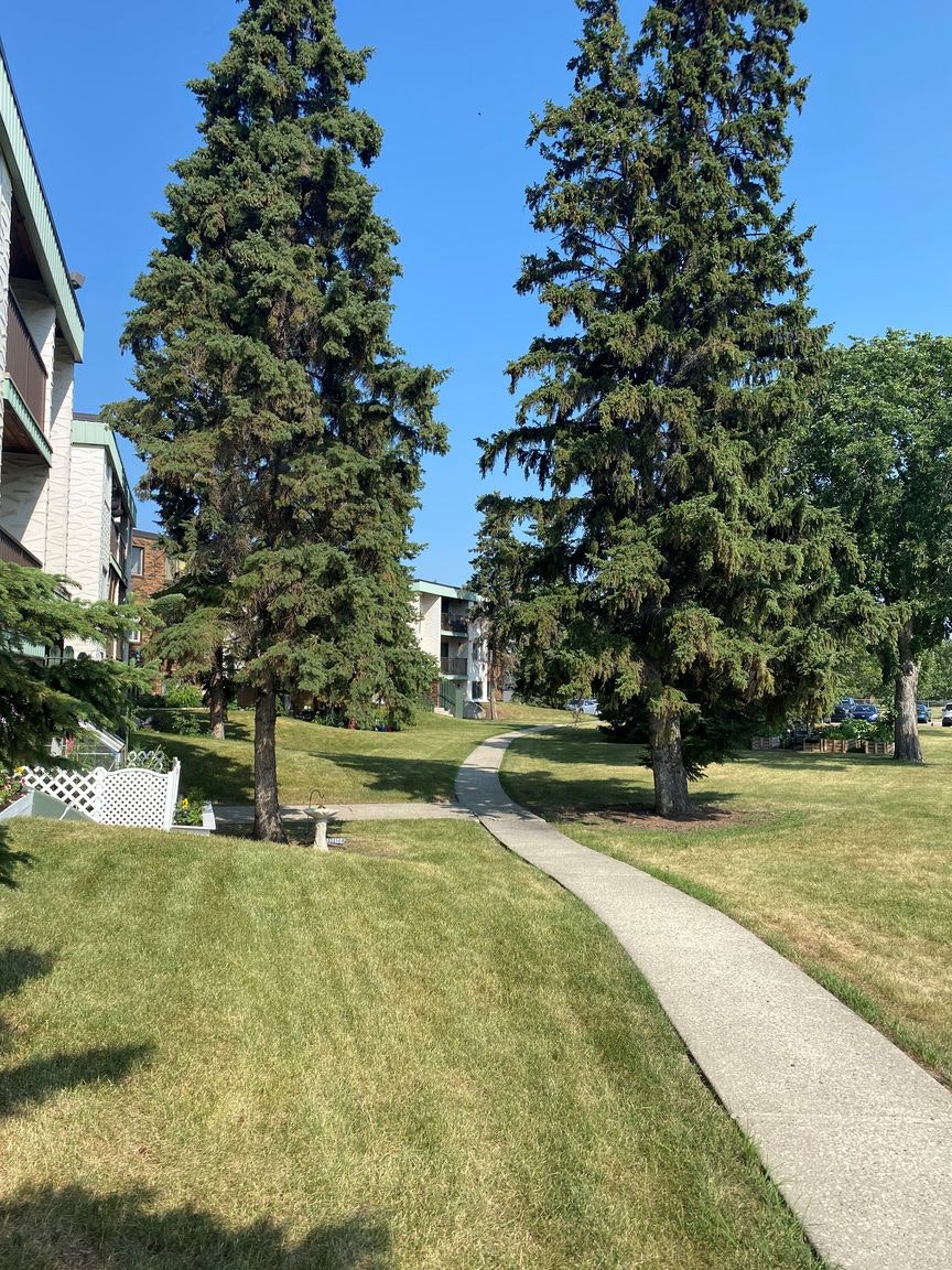 D160-4007 108th Street NW, Edmonton, AB, T6J 2L5 - 5