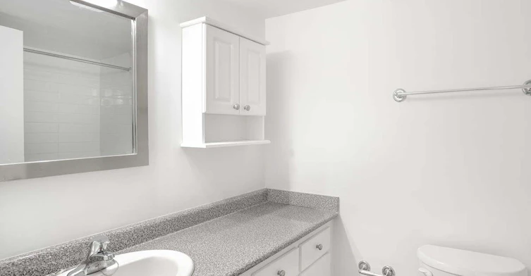 455 Racine Avenue, Dorval, QC, H9S 3K8 - 8