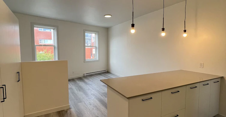 #2-507 Rose De Lima, Montréal, QC, H4C 2L5 - 3