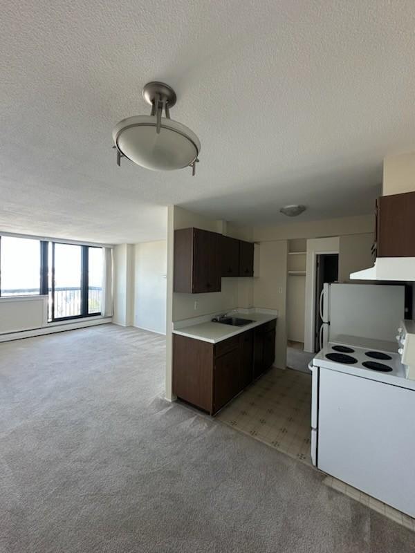 647 Michigan Street, Victoria, BC, V8V 1S9 - 2