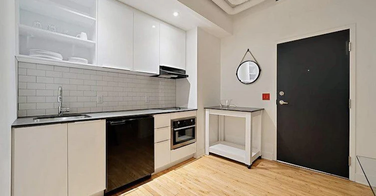 103-4521 Clark Avenue, Montréal, QC, H2T 2T3 - 9