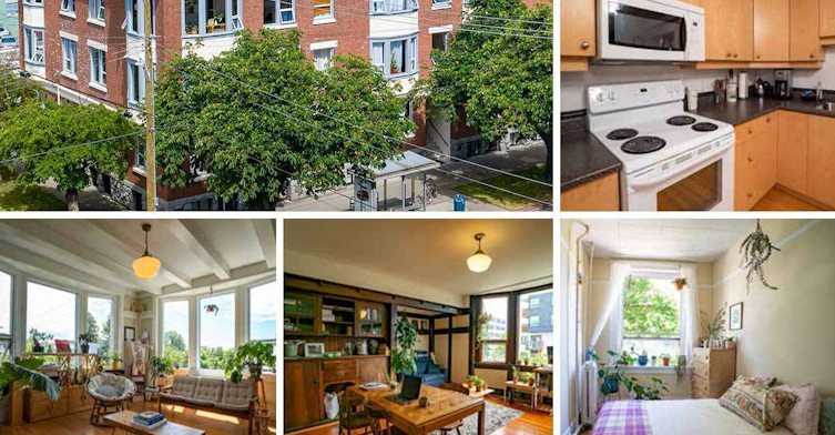 1030 Cook Street, Victoria, BC, V8V 3Z8 - 8