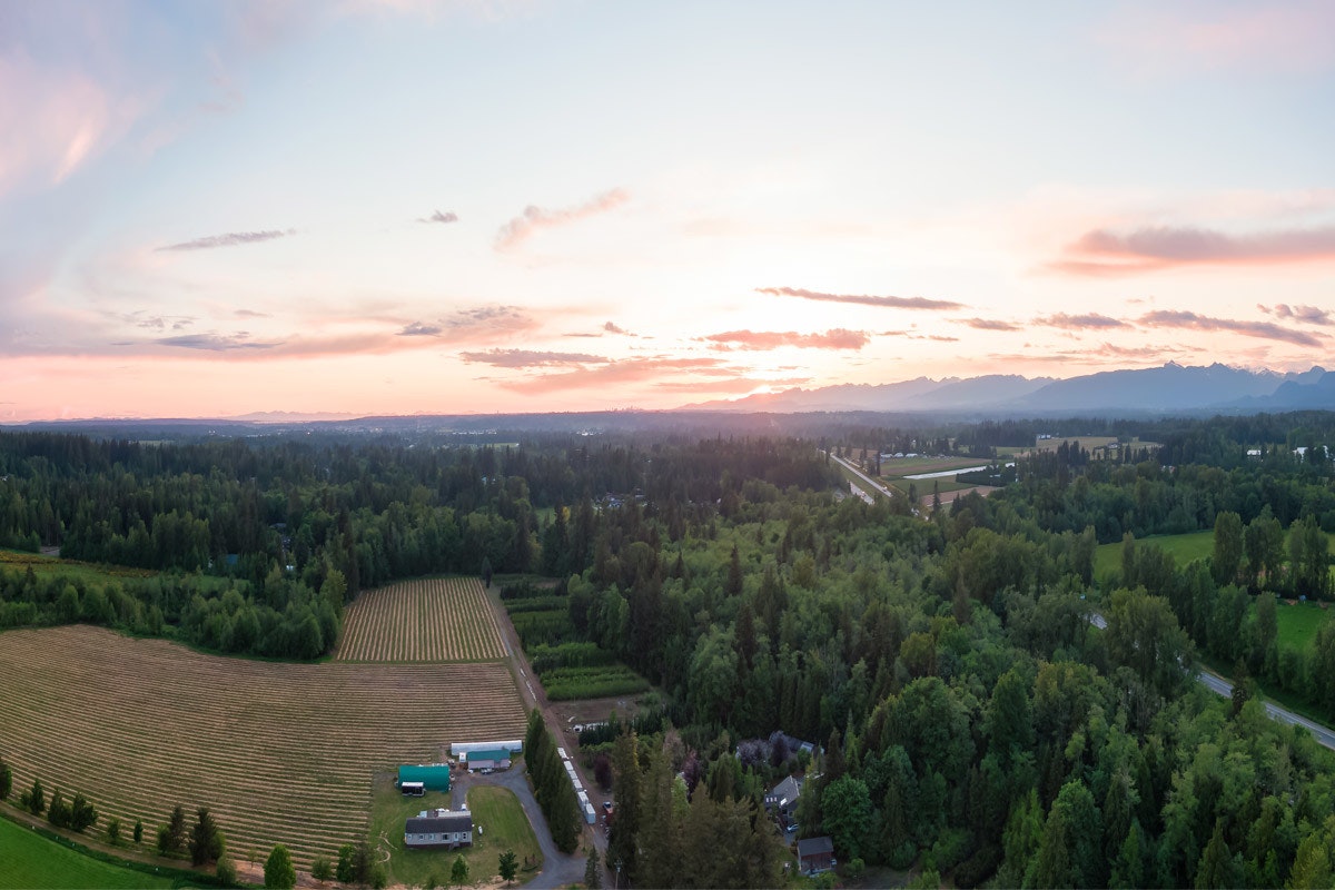 5300 207 Street, Langley, BC, V3A 2E6 - 4