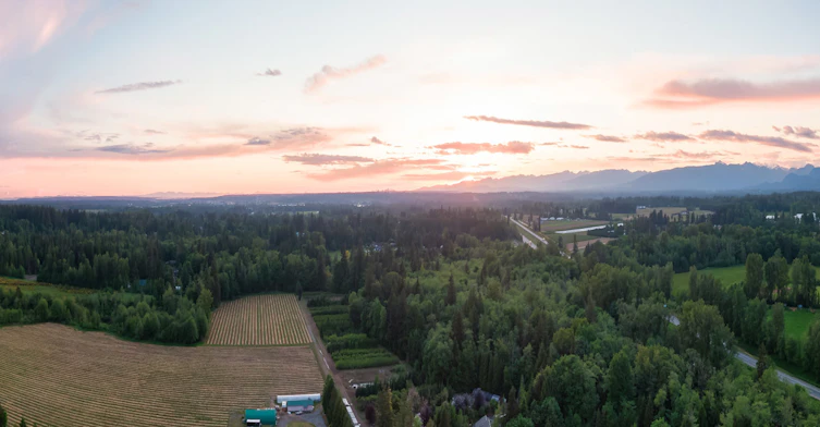 5300 207 Street, Langley, BC, V3A 2E6 - 4