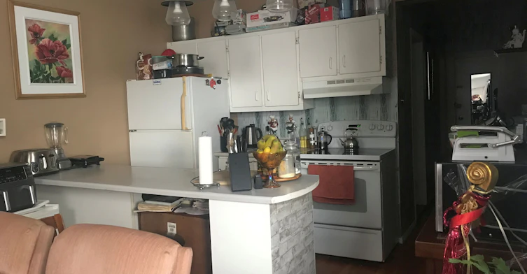 1882 #2-1886 Sherbrooke East, Montréal, QC, H2K 1B5 - 5