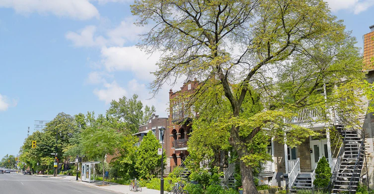 1882 #2-1886 Sherbrooke East, Montréal, QC, H2K 1B5 - 39
